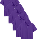 Grape (5-Pack) 16 5-Pack School Uniform Tagless Polo Tshirt for Little Boys & Big Boys